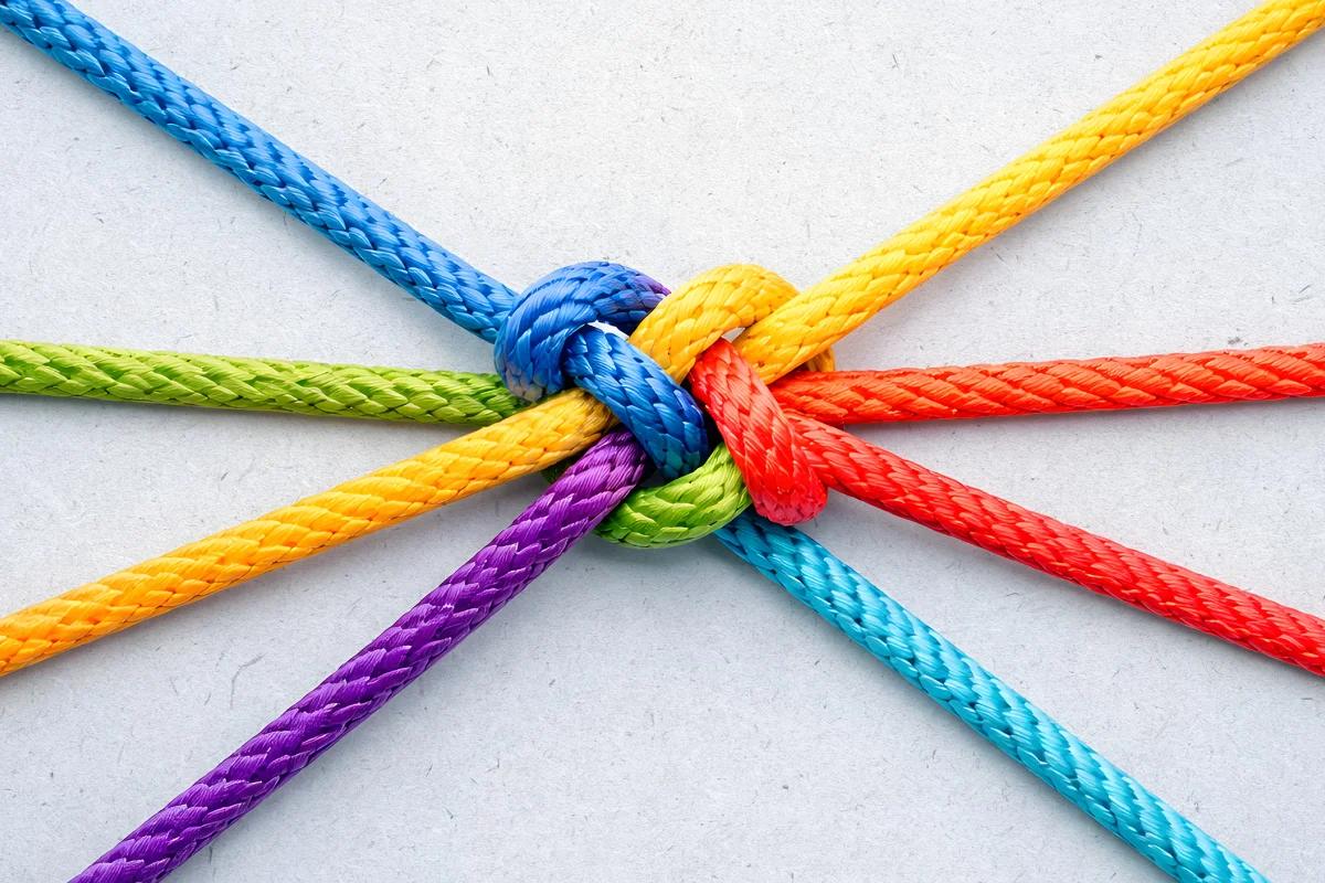 image of multi-colored ropes tied together